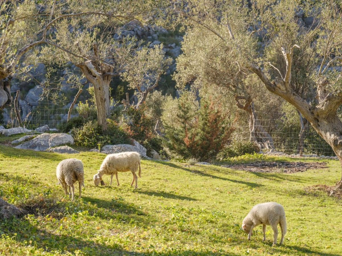 Agroturismo Muleta De Ca S'Hereu Guest House Port De Soller Exterior photo